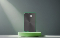 ī, ̹ λ  Npay biz ī塯 