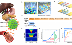 �Ǳ��� ������, ����� ��15�� �ż� ���ܡ� �ű�� ����
